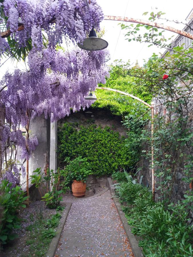 Novecento B&B Bollengo Eksteriør bilde