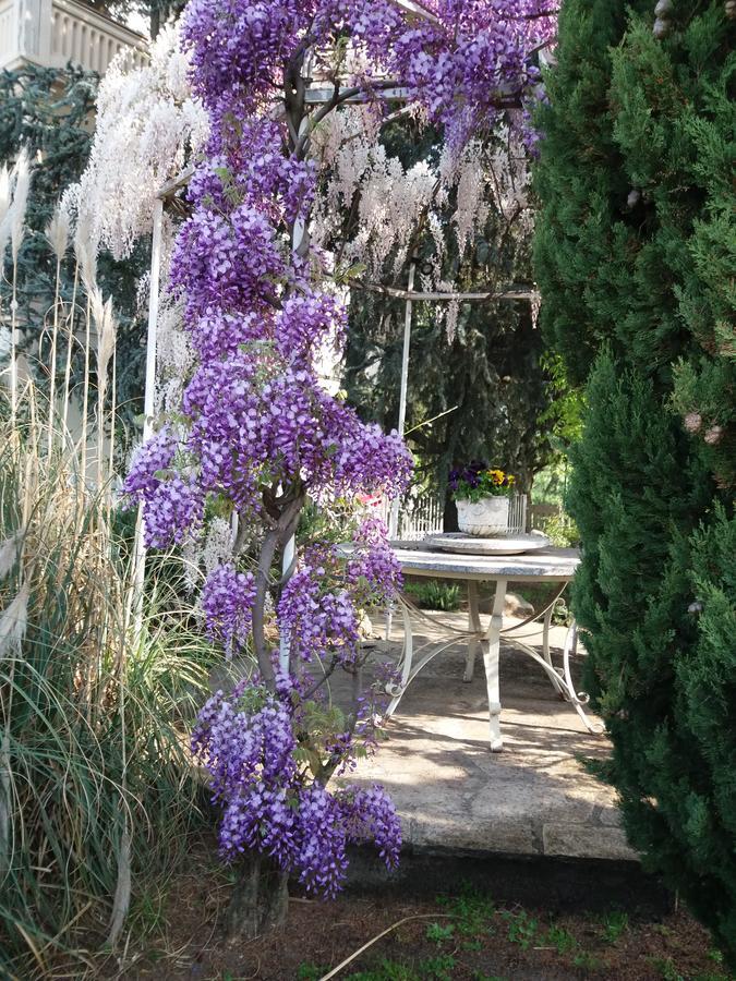 Novecento B&B Bollengo Eksteriør bilde