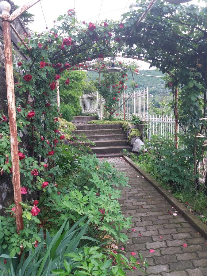 Novecento B&B Bollengo Eksteriør bilde
