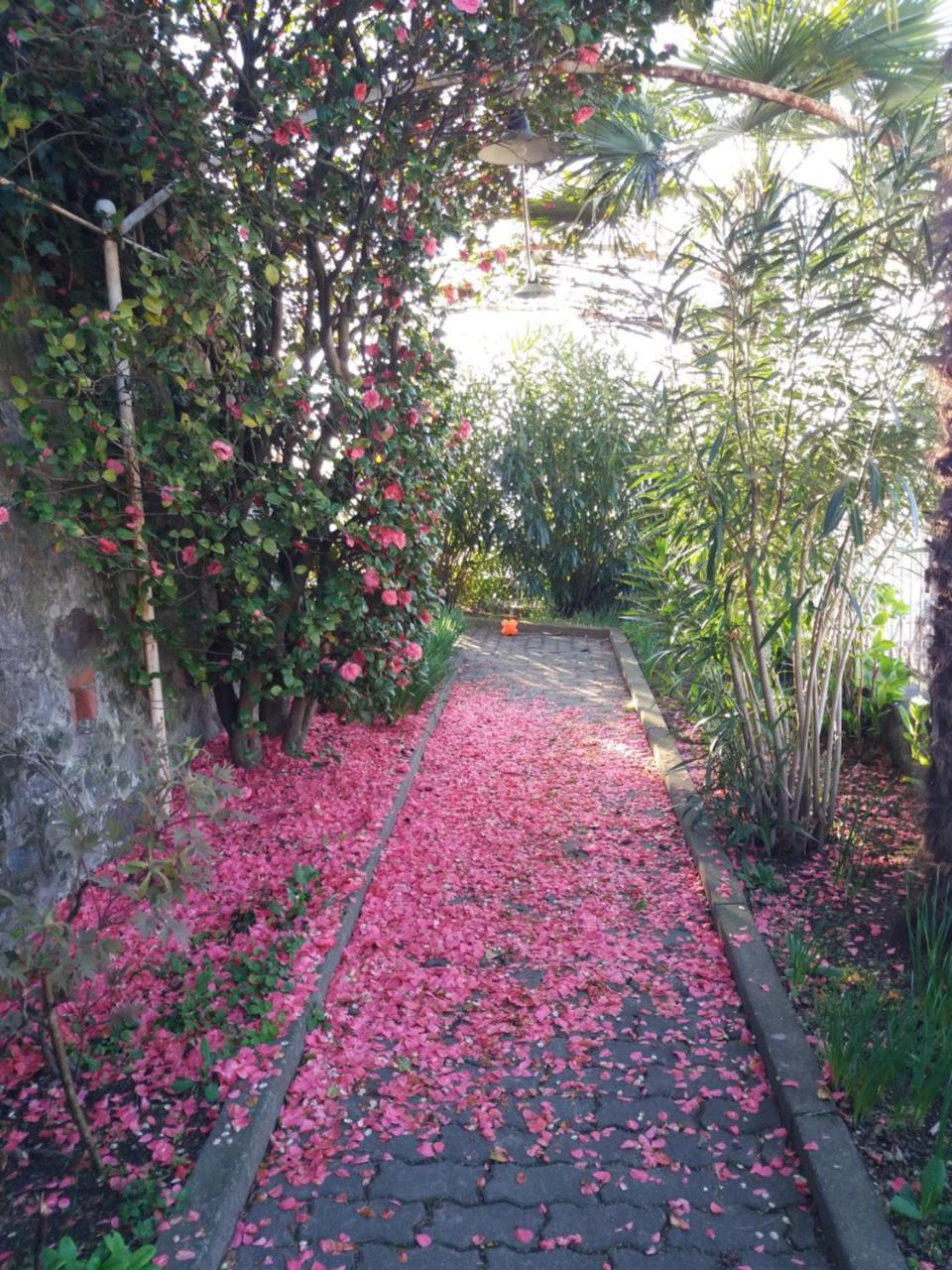 Novecento B&B Bollengo Eksteriør bilde